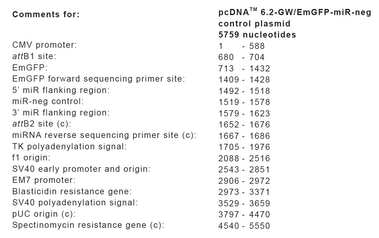 pcDNA6.2-GWEmGFP-miR negative载体特征